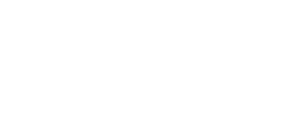Bwizer Angola